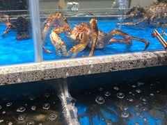 -盒马鲜生(富田新天地店)