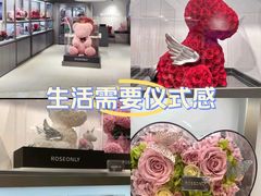 -ROSEONLY诺誓(广州K11店)