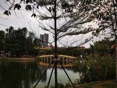 -四海公园(南山区)