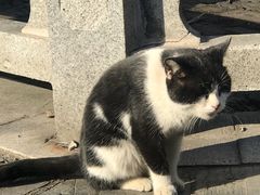 -上海佘山国家森林公园天马山园