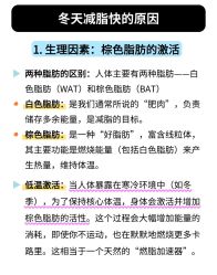 -Fundi张玉珊修身堂·indiba·BTL科技瘦身