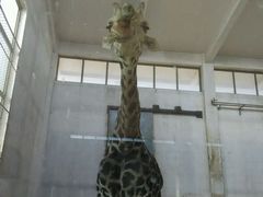 android_upload_pic-石家庄市动物园