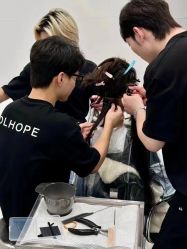 -DL HOPE明星造型