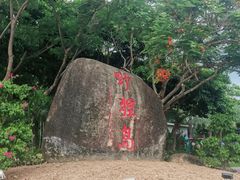 -野狸岛