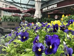 -COSTA COFFEE(丰联广场店)
