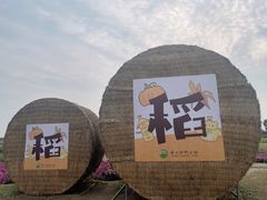 -嘉北郊野公园