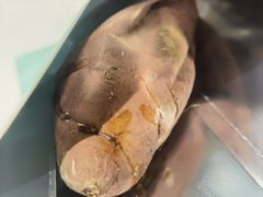 -Mint Gelato(二厂店)