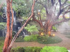 -Chom Cafe and Restaurant