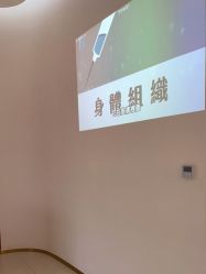 点击看大图 -WENDY·温迪皮肤管理