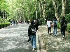 -武汉大学-樱园