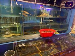 水产区-辉记炭烧海鲜大排档·老字号(福田店)