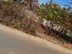 -楼外楼大刀肉传统火锅居(幸福街店)