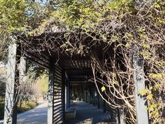 -阳澄湖半岛旅游度假区