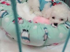 -宠颐生中康贝怡动物医院