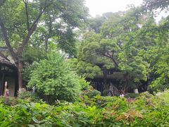 -南京市民俗博物馆(甘熙故居)