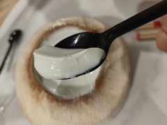 -志龙皇冠吃货椰子铺