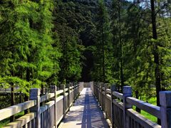 -广州市石门国家森林公园