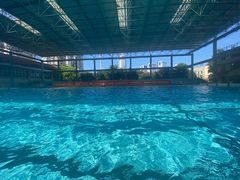 -体育场桃源游泳馆