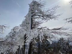 -四明山国家森林公园