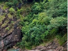 -广州白江湖森林公园