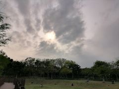-立新湖公园