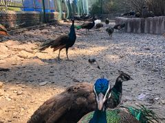 -南京金牛湖风景区