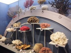 -中国湿地博物馆