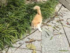 -天毓山庄·餐厅