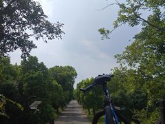 -广富林郊野公园