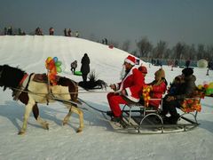 -武清南湖绿博园