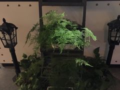 -海派美食·家宴海鲜青岛菜·石锅鲽鱼头(东方城店)
