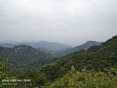 -大岭沟猕猴桃谷风景区