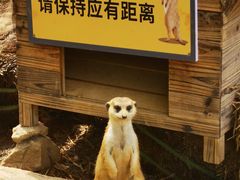 -无锡动物园·太湖欢乐园