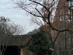 -法云安缦酒店