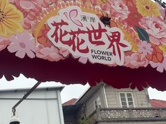 -溪岸路花鸟市场