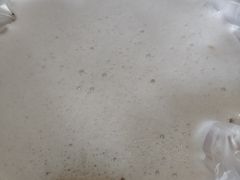 豆浆-油旋张(大观园店)