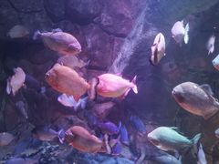 -多彩贵州城极地海洋世界