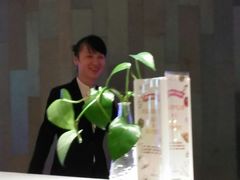 -国际青年会议酒店-苏莱斯餐厅