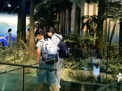 -新白鹿餐厅(银泰西湖文化广场店)