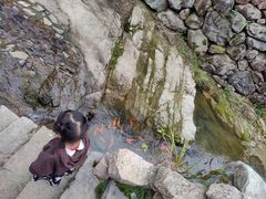 -林坑古村落