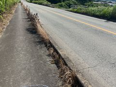 -上色见熊野座神社