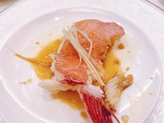 清蒸东星斑-利苑酒家(金宝店)