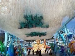 -海合安成都极地海洋公园