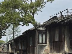 -乌镇景区