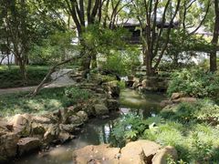 -上海醉白池公园