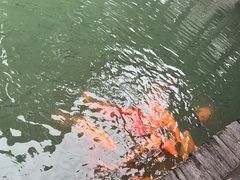 -乌镇景区