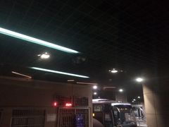 -上海机场-城市航站楼