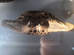 -北京动物园-畅观楼