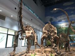 -自贡恐龙博物馆