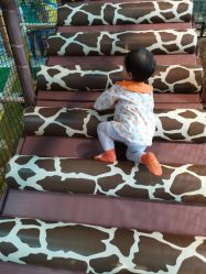 -卡通尼·Safari非洲探索乐园·生日会(金桥国际商业广场店)